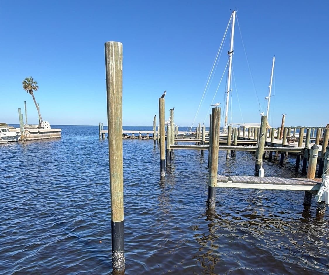 New wooden pilings standing in the water at the docks, birds perched on several of them, with sailboat masts beyond and a palm tree on the point